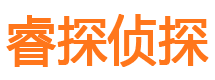 亭湖市私家侦探